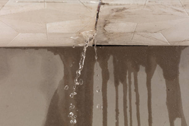 Professional Structural Drying technician working in Bayport, NY
